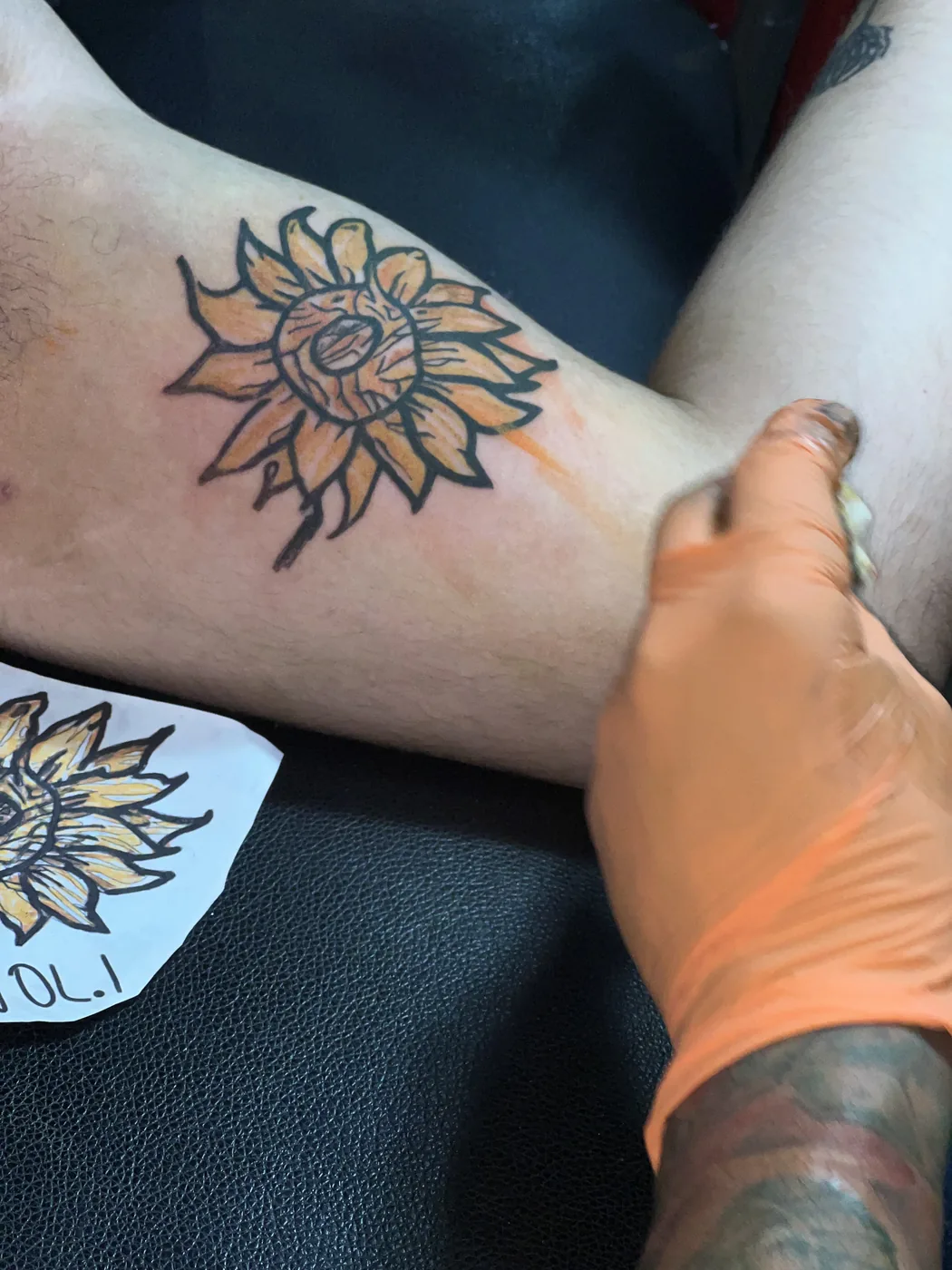 Girasol a color